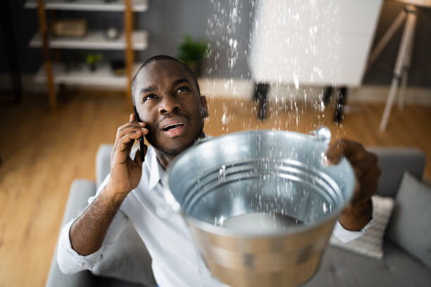 Trusted Water Damage Restoration in Grant, AL | Fast, Reliable, and Ready to Assist You